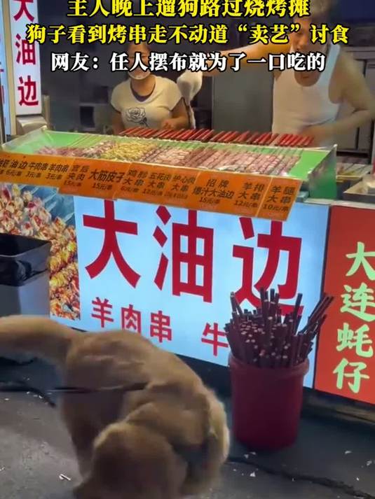 主人晚上遛狗路过烧烤摊狗子看到烤串走不动道“卖艺”讨食，网友：任人摆布就为了一口吃的
