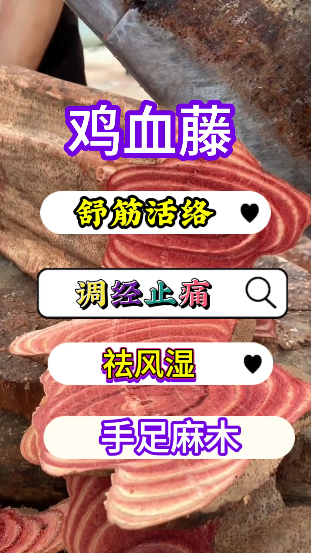 鸡血藤,女人的好搭档,来自大自然的馈赠