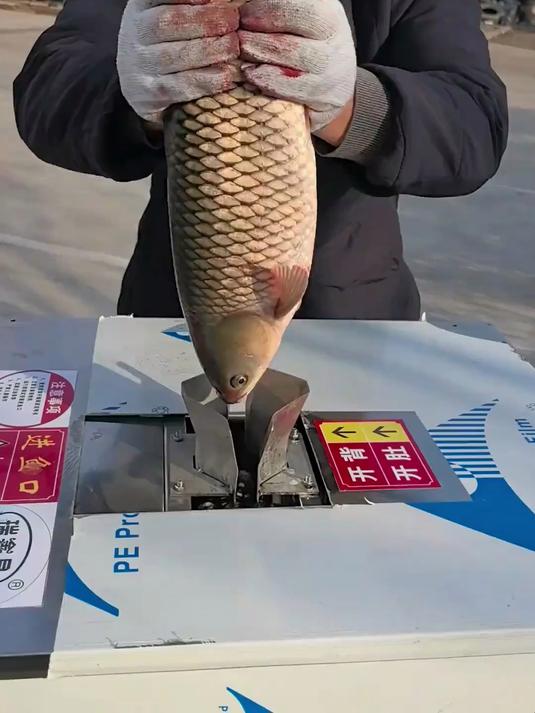 不错的杀鱼神器