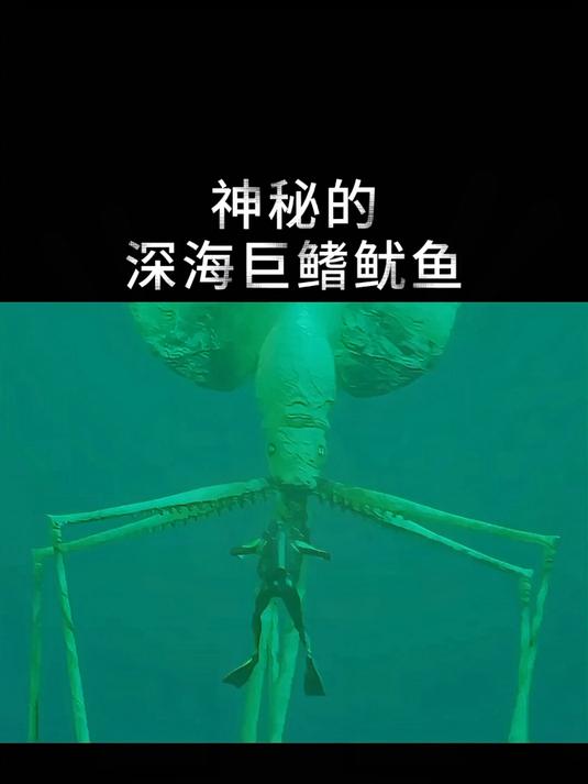 神秘的深海巨鳍鱿鱼