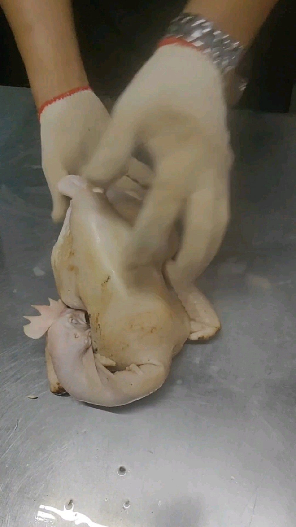 烧鸡造型标准