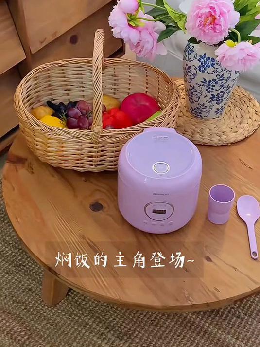 大宇（DAEWOO）口袋电饭煲智能多功能微压 可煮小米粥健康低糖迷你小型电饭锅1-2人煮饭