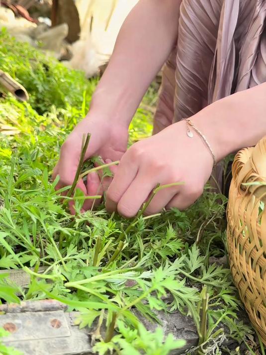 思念是绍兴的艾糕绍兴美食绍兴清明民间传统美食艾草