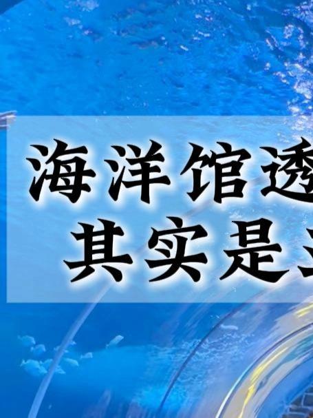 你知道吗?海洋馆海底隧道其实是亚克力做的