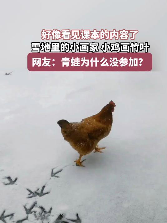 好像看见课本的内容了,雪地里的小画家,小鸡画竹叶