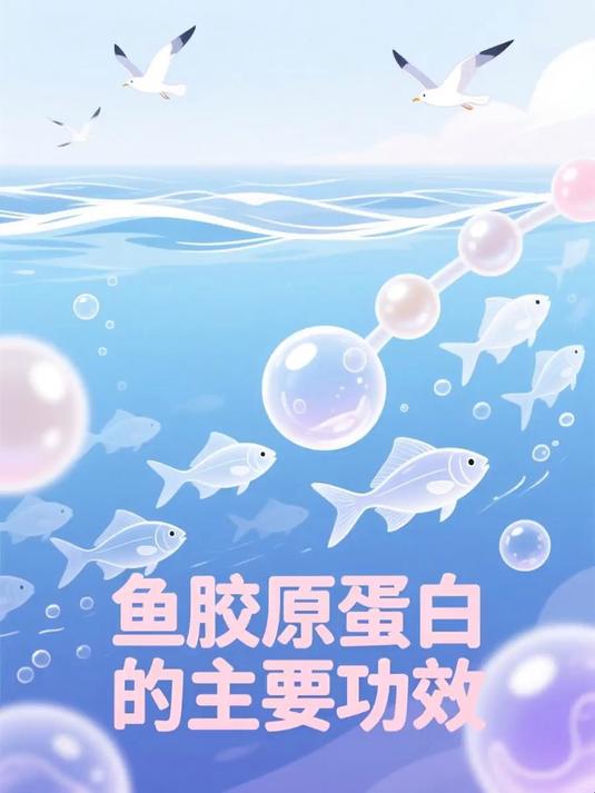 #马上健康过大年#鱼胶原蛋白的主要功效