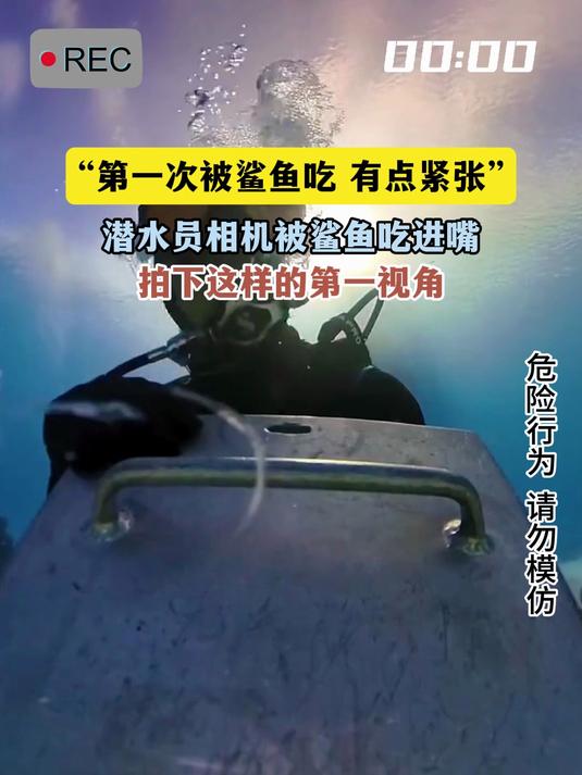 潜水员相机被鲨鱼吃进嘴,拍下这样的第一视角