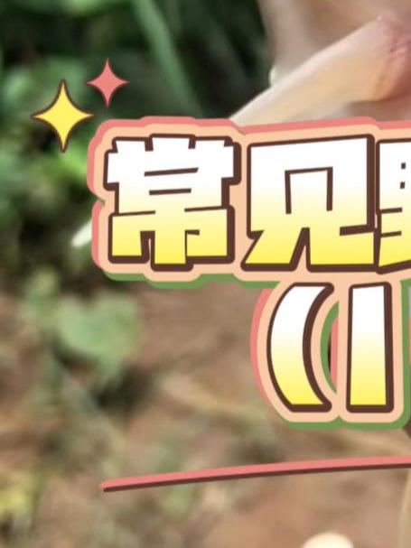 10种常钓淡水鱼:哪种能吃?哪种是保护动物必须立刻放?