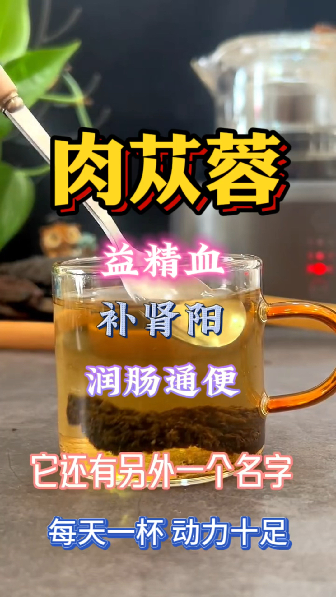 每天学习一味中药-肉苁蓉,隔壁老王的秘密
