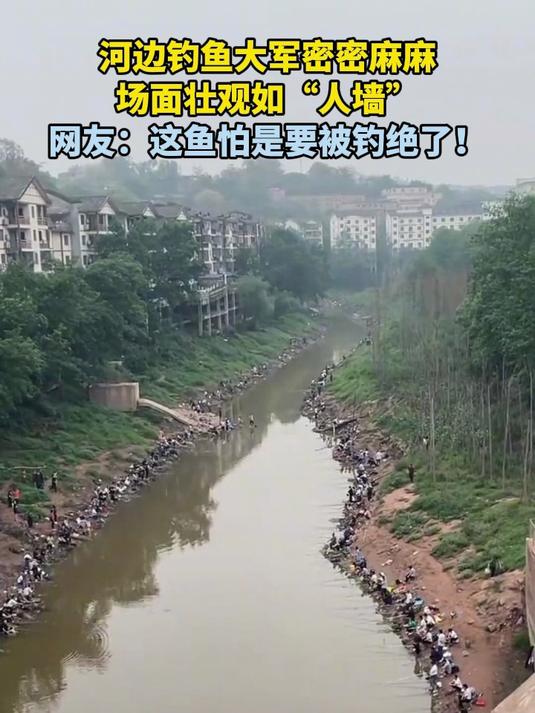 河边钓鱼大军密密麻麻，场面壮观如“人墙”！