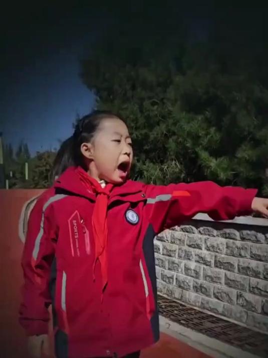 看到贴满广告的面包车，一定要小心