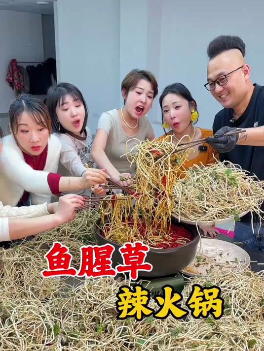 地方特色美食 鱼腥草折耳根 折耳根火锅