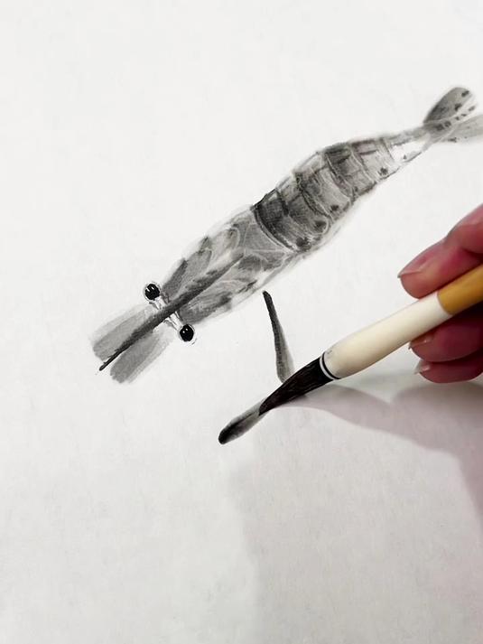 国画教程:如何画墨虾