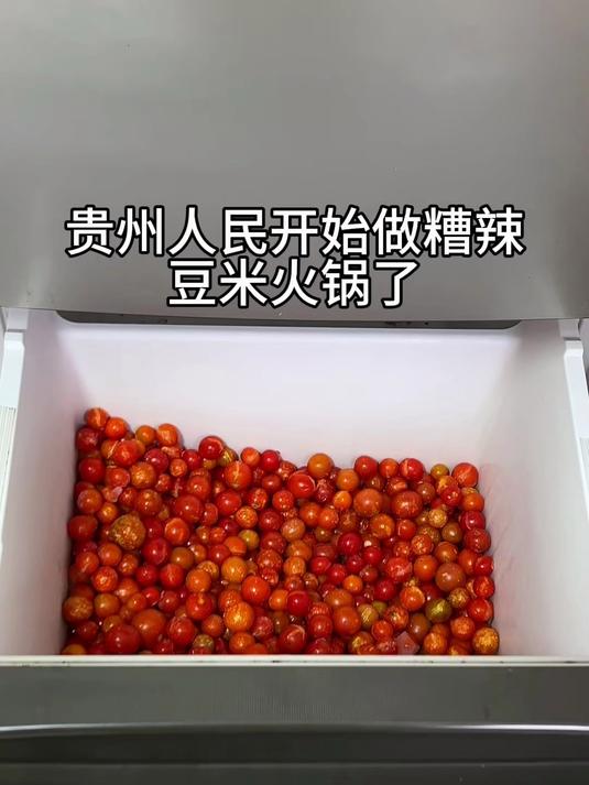 贵州豆米火锅：贵州人民开始做糟辣豆米火锅了
