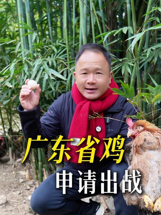 给家人的年度仪式感,从一只“有鸡味”的清远鸡开始。#清远鸡#