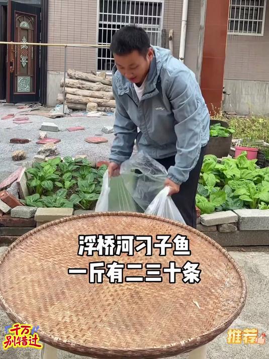 追剧下酒下饭必备的湖南刁子鱼香香辣辣油润入味麻辣咸香真的好吃到停不下来#好吃停不下来#