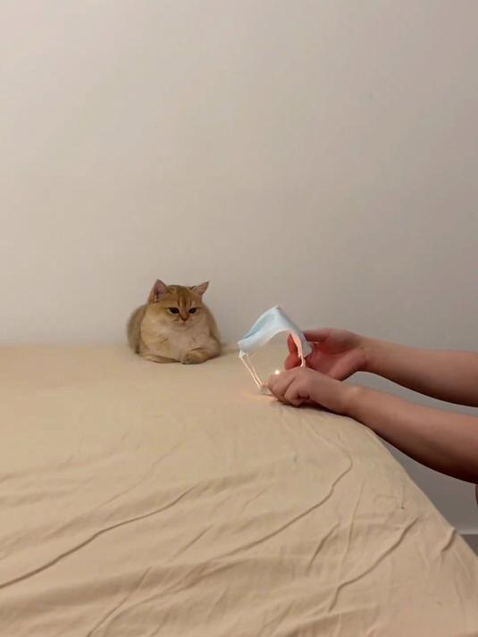 就祝你越来越可爱 每天都有小鱼干吃吧