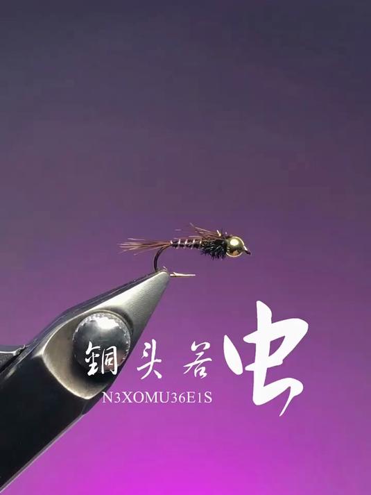 这个是野鸡尾铜头若虫,也就是蜉蝣若虫