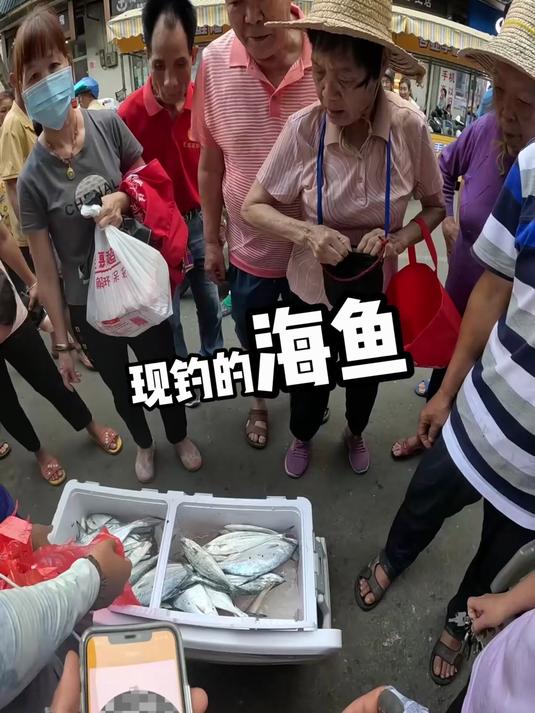 在海南菜市场摆摊卖鱼是一种什么体验,现钓的海鱼!