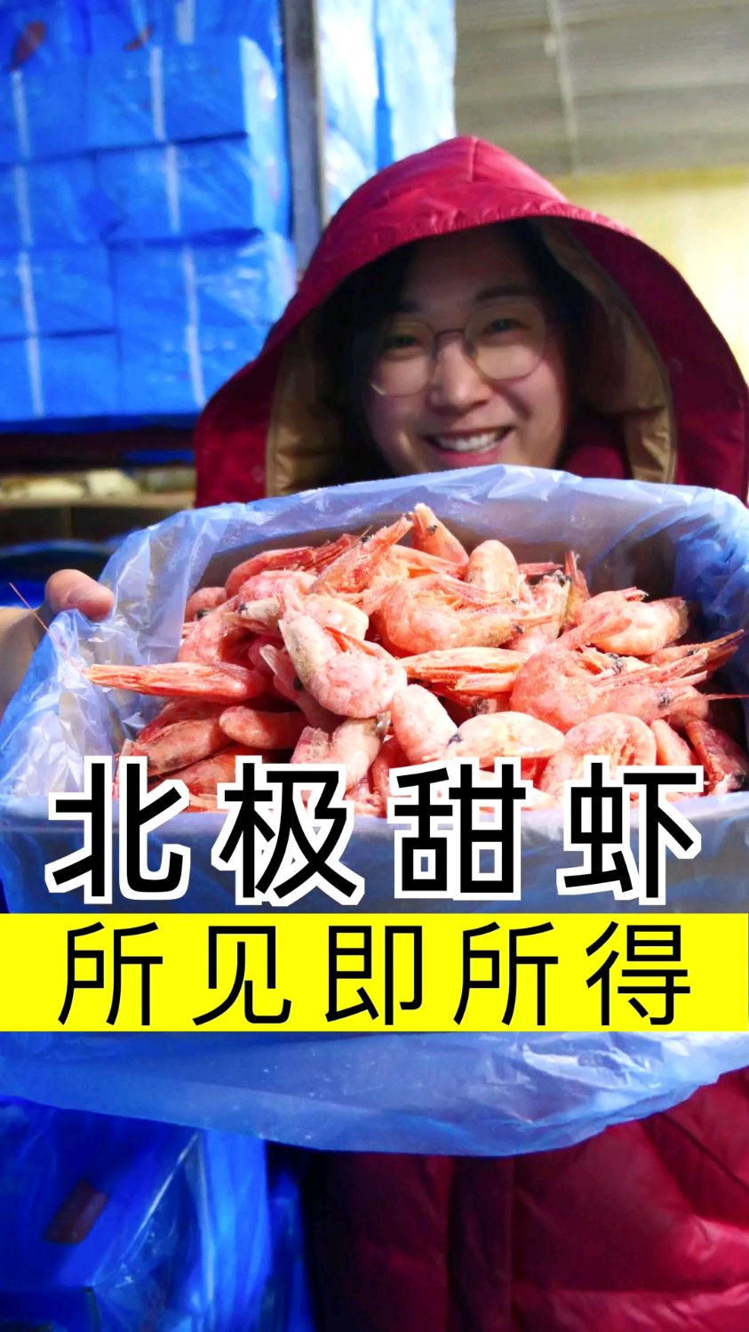 腹籽北极甜虾开箱验货,所见即所得