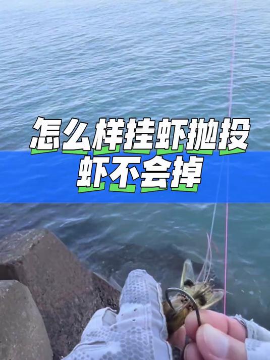 怎么样挂虾抛投虾不会掉 海钓 户外 浮游矶钓 远投 钓鱼