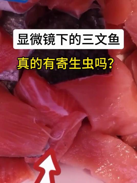 三文鱼到底有没有虫?