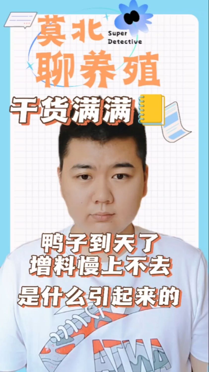 #鸭子不增料怎么办天热鸭子吃料少怎么办天热鸭子不吃料怎么办天气太热鸭子吃不进