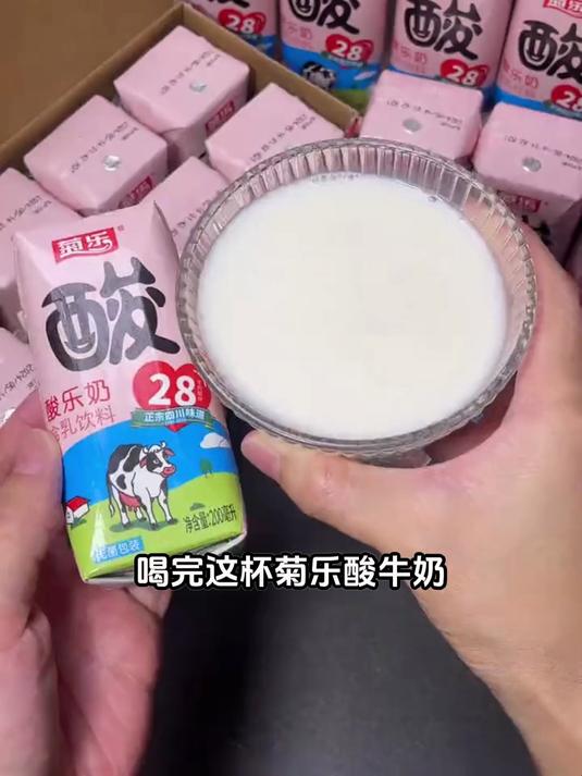 喝酸奶还是看菊乐!