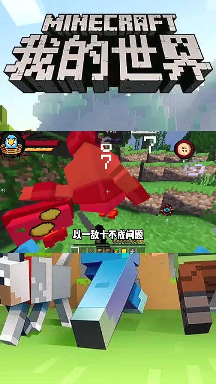 我的世界:功夫鸡2:我就是新一代功夫坤大师!功夫鸡