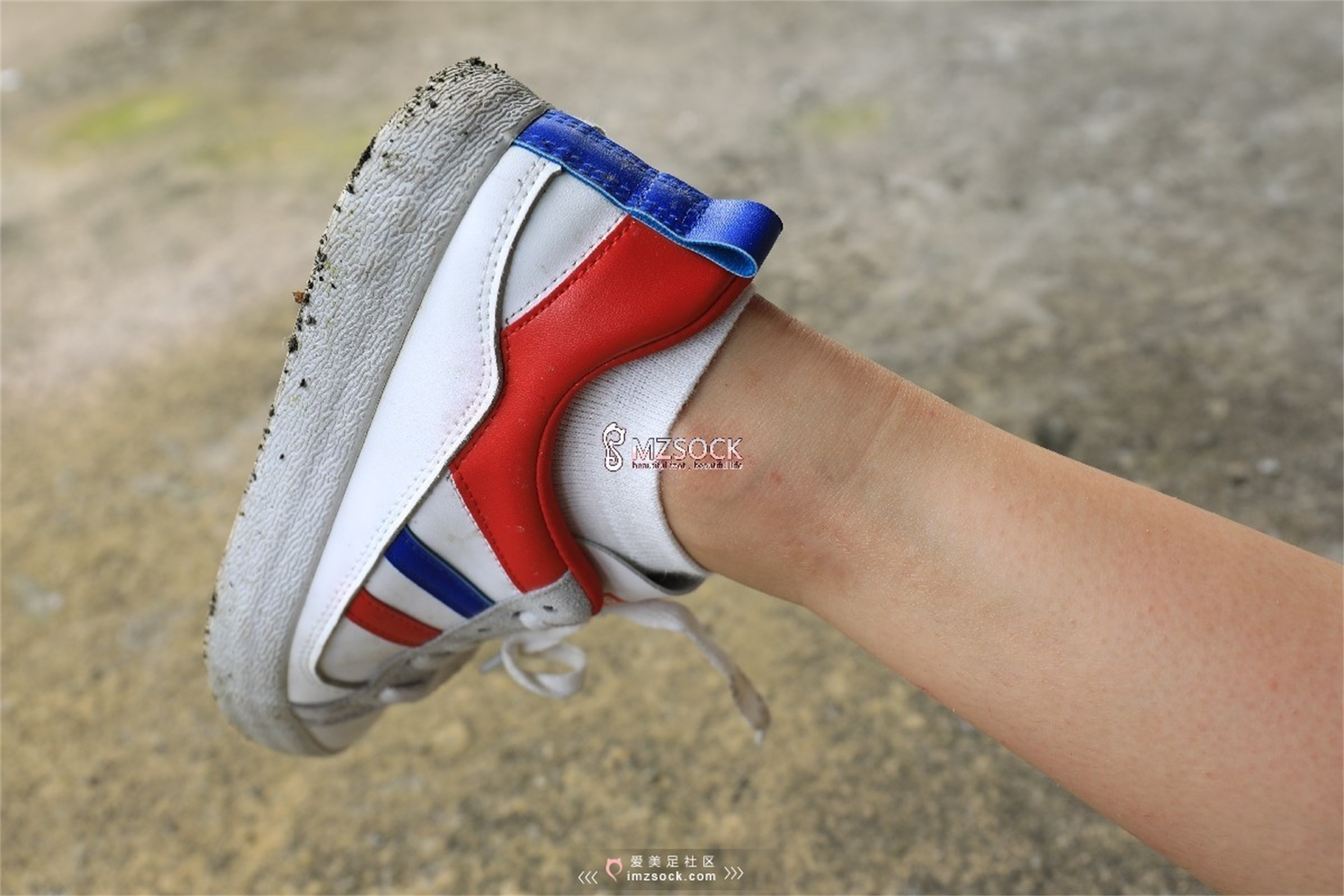 图片[53]-[MZSOCK]爱美足 NO.049 悦悦[122P403M]-六色网