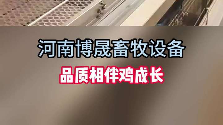 全自动养鸡设备你见过吗