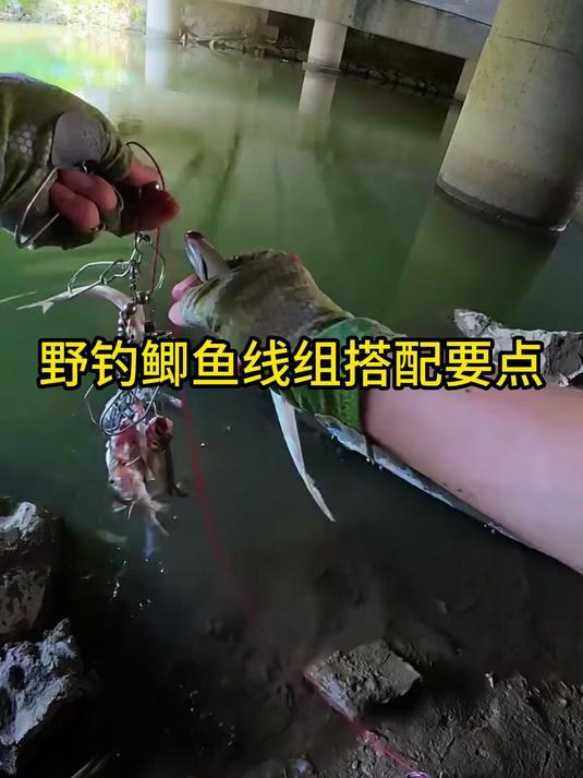 野钓鲫鱼想爆护,线组搭配这几点得吃透!