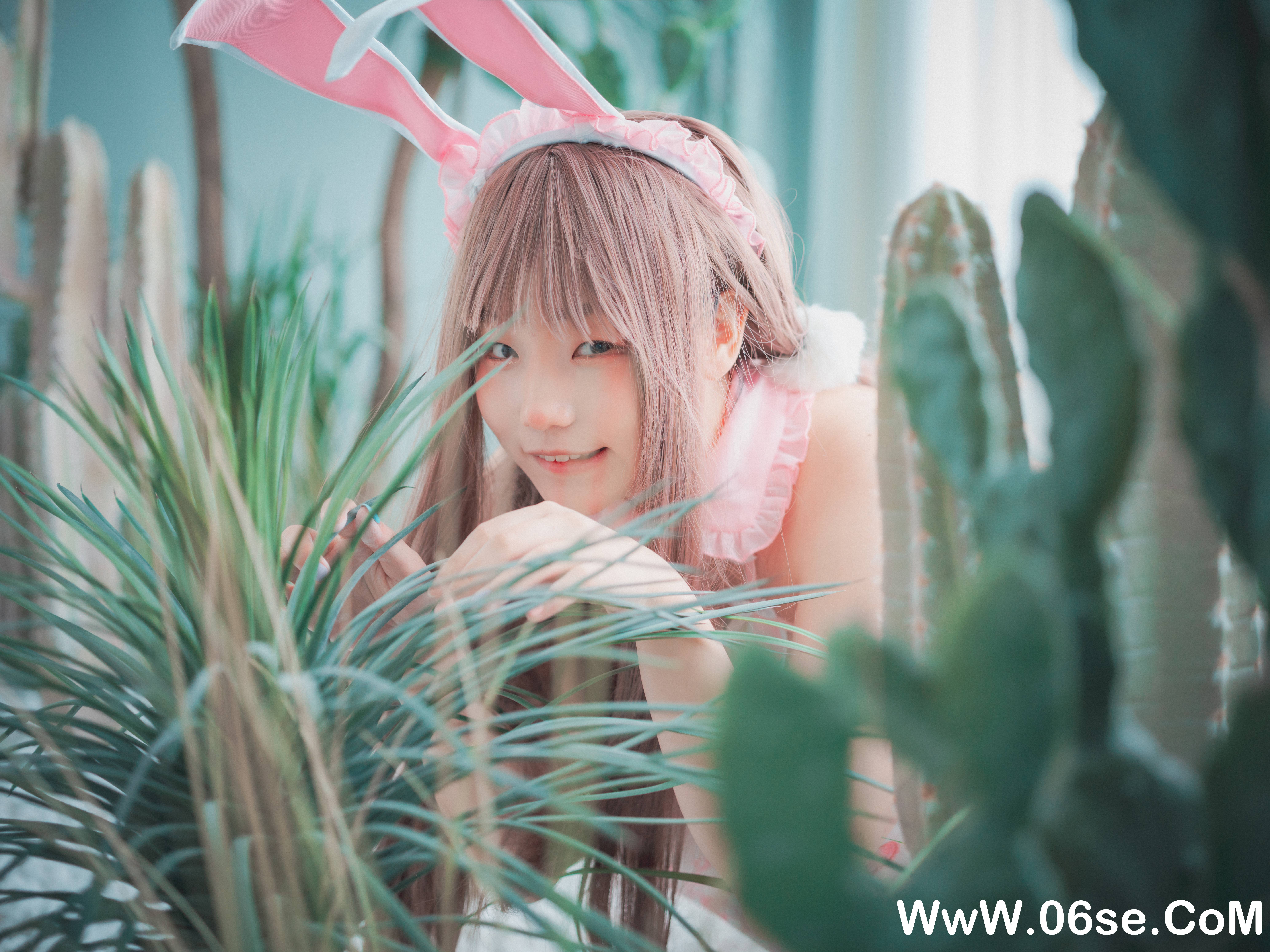 图片[65]-DJAWA – NO.038 March Hare [83P1.64G]-六色网