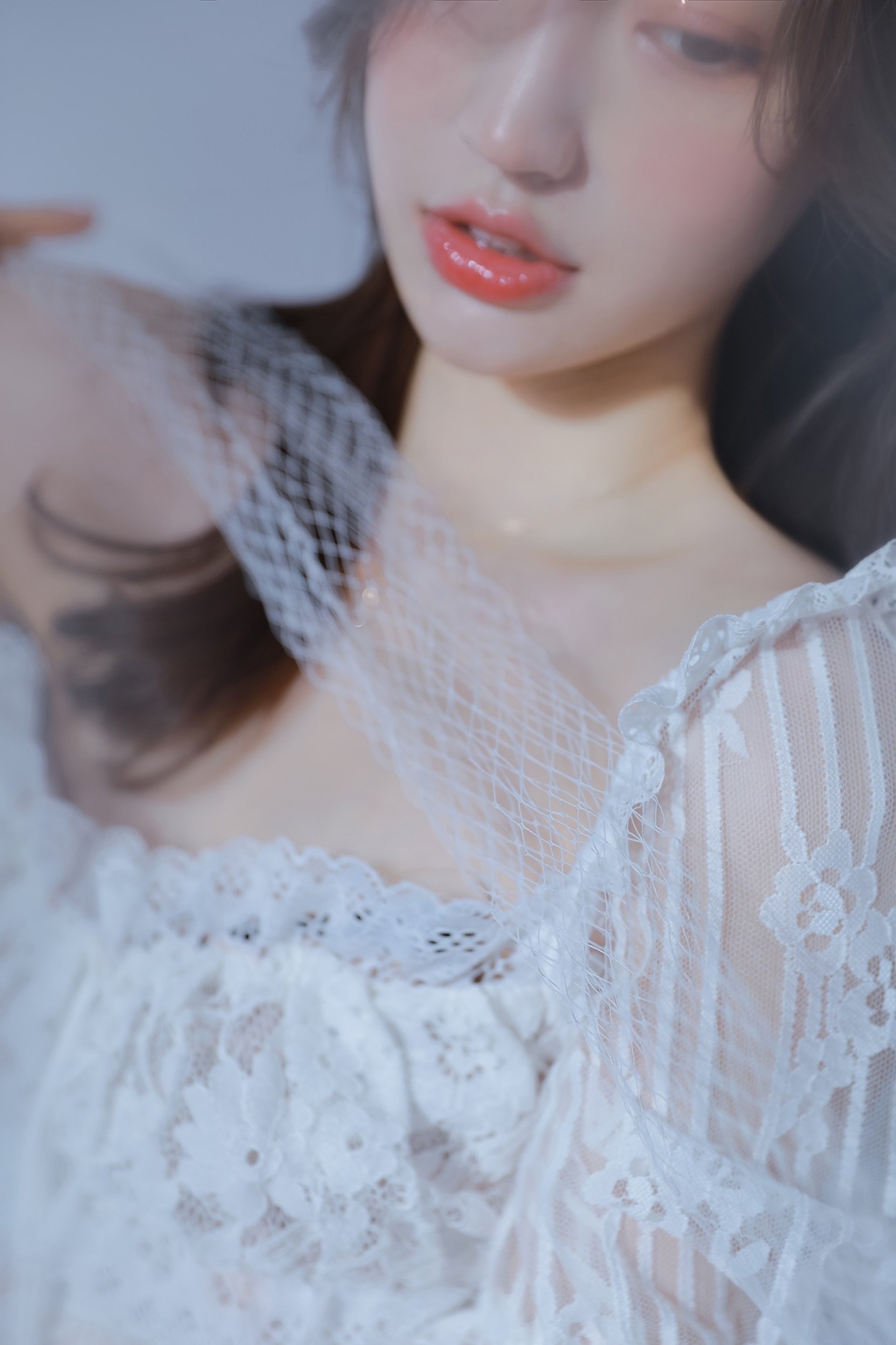 图片[12]-蝴蝶-六色网