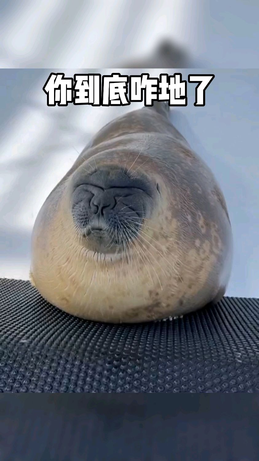 这是咋地了这表情