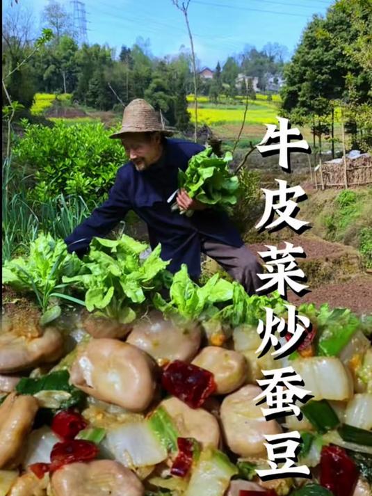 从猪草到美食：牛皮菜是如何征服四川人的味蕾的？牛皮菜炒蚕豆，既美味又下饭。#农村美食#