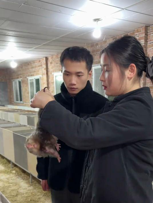 这个春天特别适合给家人做这道美食 鸡腰子生蚝汤