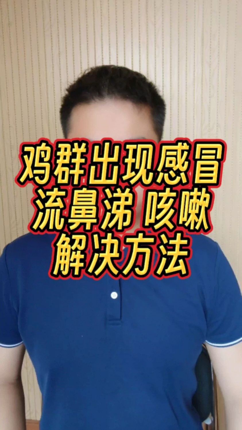 鸡感冒了要用什么药最好 鸡感冒呼吸道感染吃什么药 鸡感冒粪便 鸡感冒喂什么药