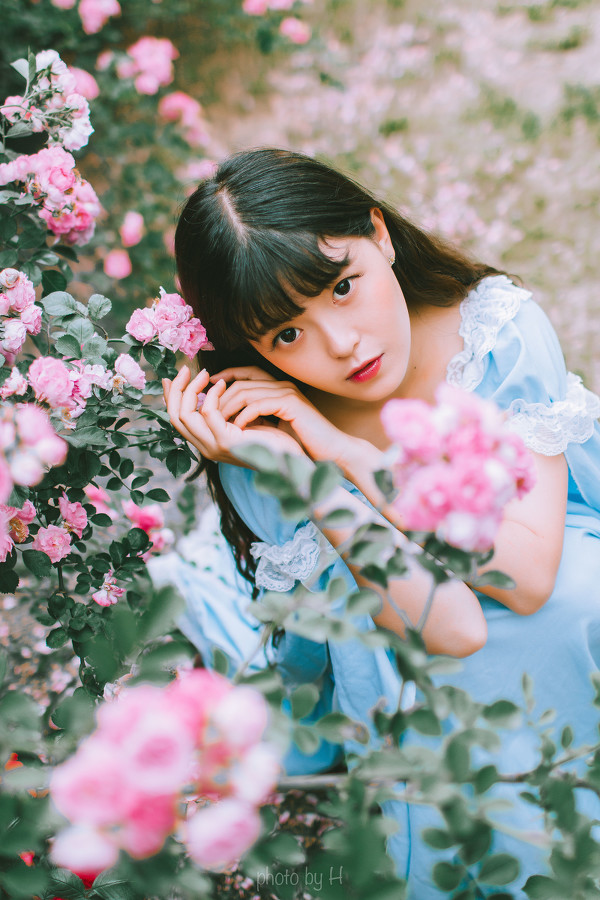 图片[8]-少女和蔷薇-六色网