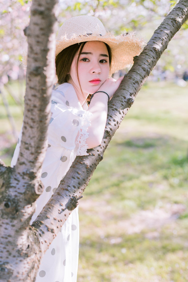 图片[17]-樱花少女-六色网