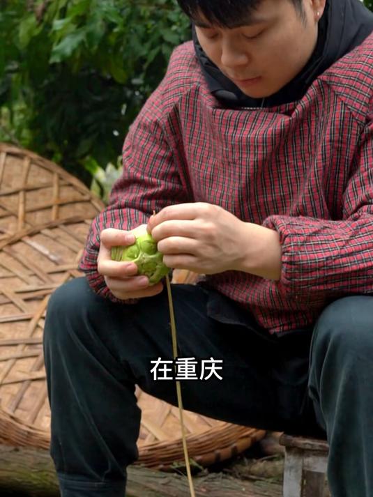 很多人没见过这种菜头适合用来做成榨菜非常脆口
