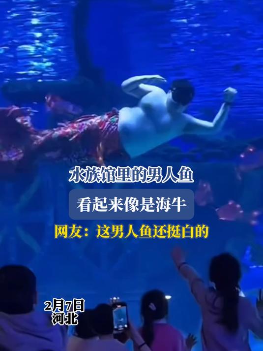 水族馆里的男人鱼,看起来像是海牛,网友:这男人鱼还挺白的