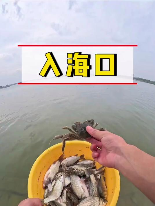 手杆钓海鱼，一不小心又连杆了