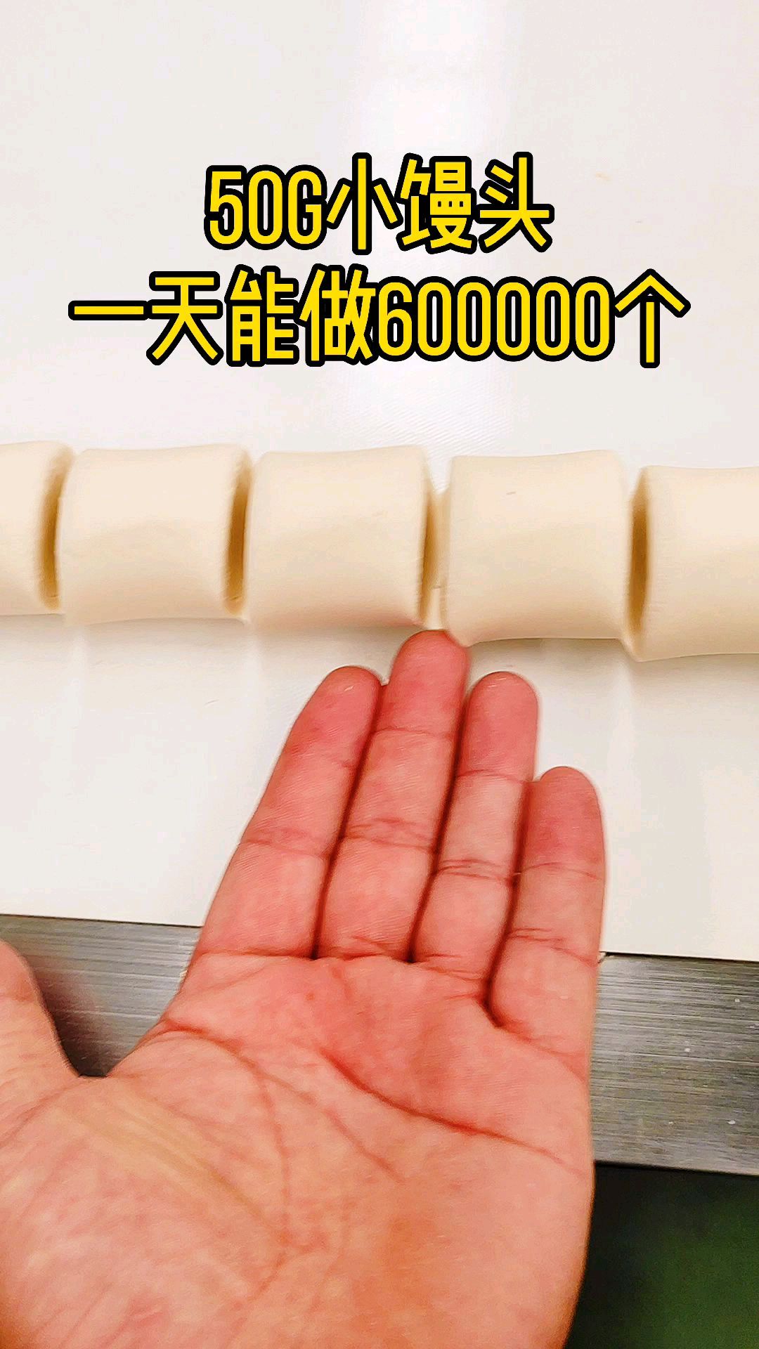 全自动馒头机,不用人工和、揉、切,馒头轻松做