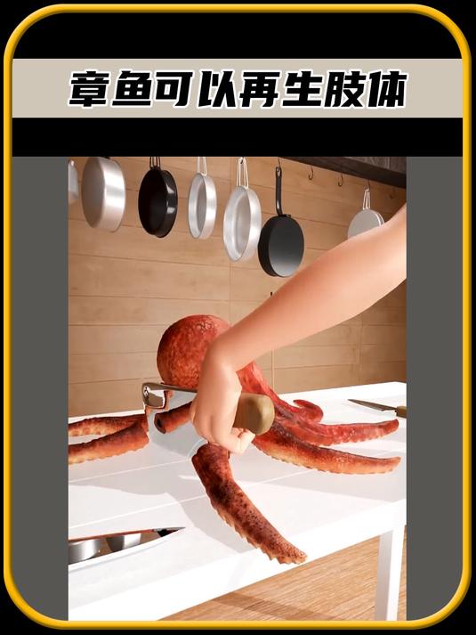 你知道吗,章鱼可以再生肢体,真是太有趣了