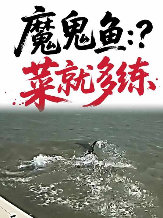 魔鬼鱼:菜就多练