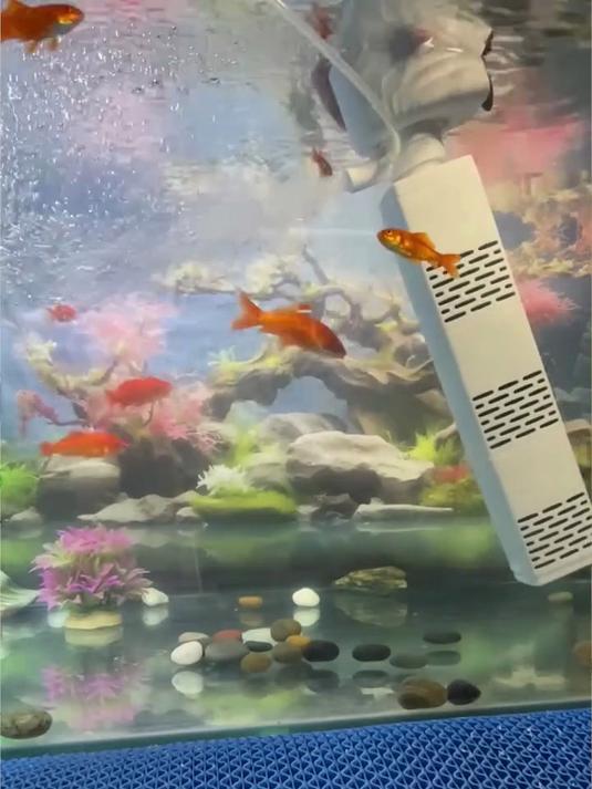鱼缸三合一过滤器,净化水质清理鱼缸垃圾,轻松养鱼