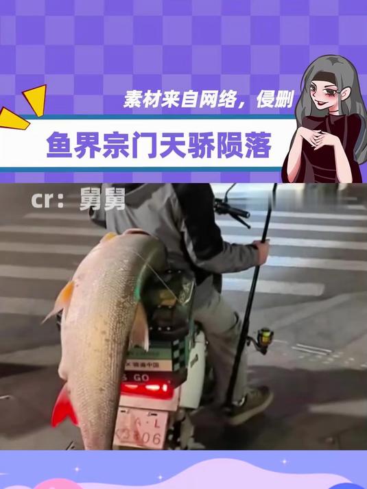 鱼王落网,腹中全是败将