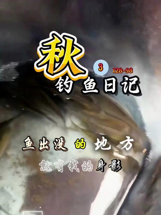 没鱼的地方#钓鱼#