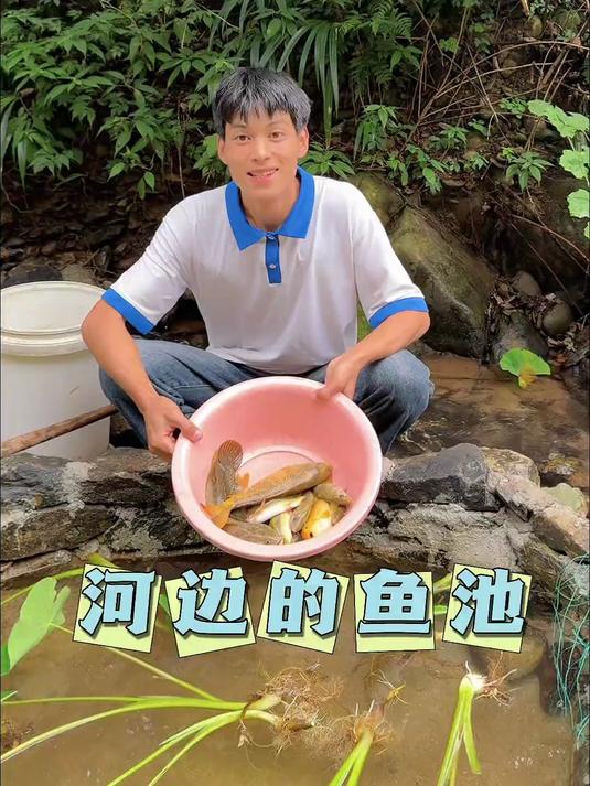 你们喜欢养鱼吗?